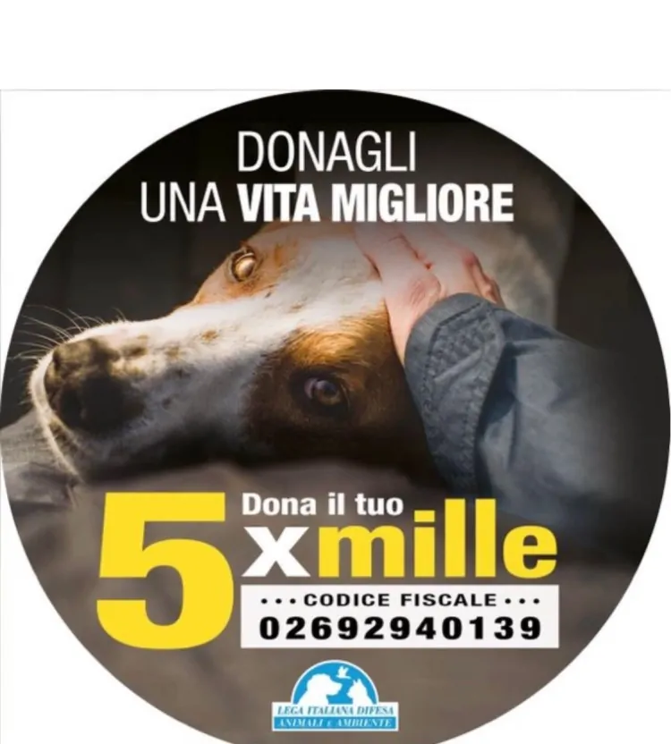 L’Onorevole *Michela Vittoria Brambilla* è sempre in prima linea quando si tratta dalla difesa e della salvaguardia dei nostri amici animali, con la *Leidaa*