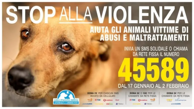 LEIDAA, DAL 17 GENNAIO AL 2 FEBBRAIO INVIA UN SMS SOLIDALE AL 45589 E AIUTA IL RECUPERO DEGLI ANIMALI VITTIME DI GRAVI ABUSI E MALTRATTAMENTI